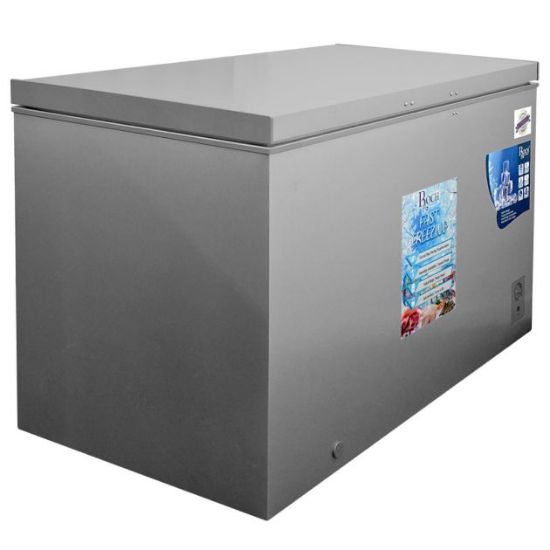 Image de ROCH CONGELATEUR RCF-350-G (350 LTR, COULEUR GRIS)